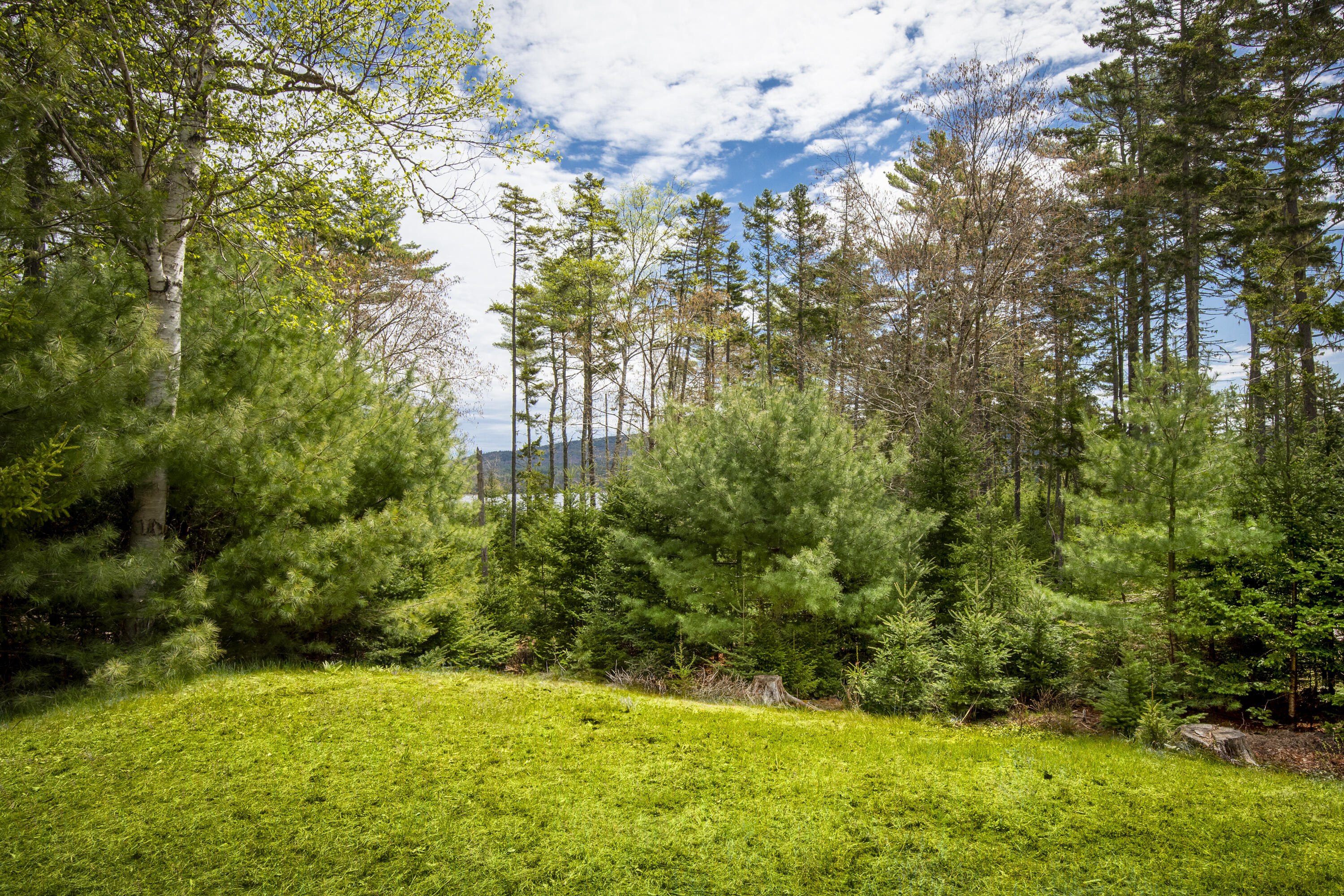 68 Parker Farm Road Mount Desert, ME 04660 - Photo 4 of 39 54-68ParkerRd-Somesville-KS