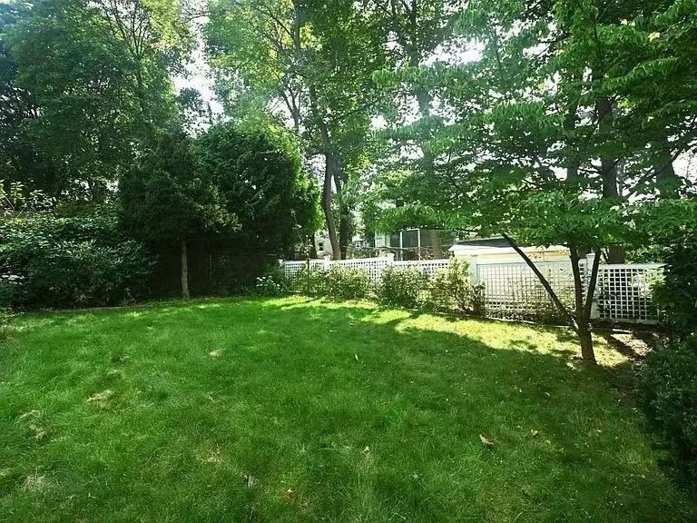 142 Jackson Street Newton, MA 02459 - Photo 16 of 16 a backyard of a house with lots of plants and large tree