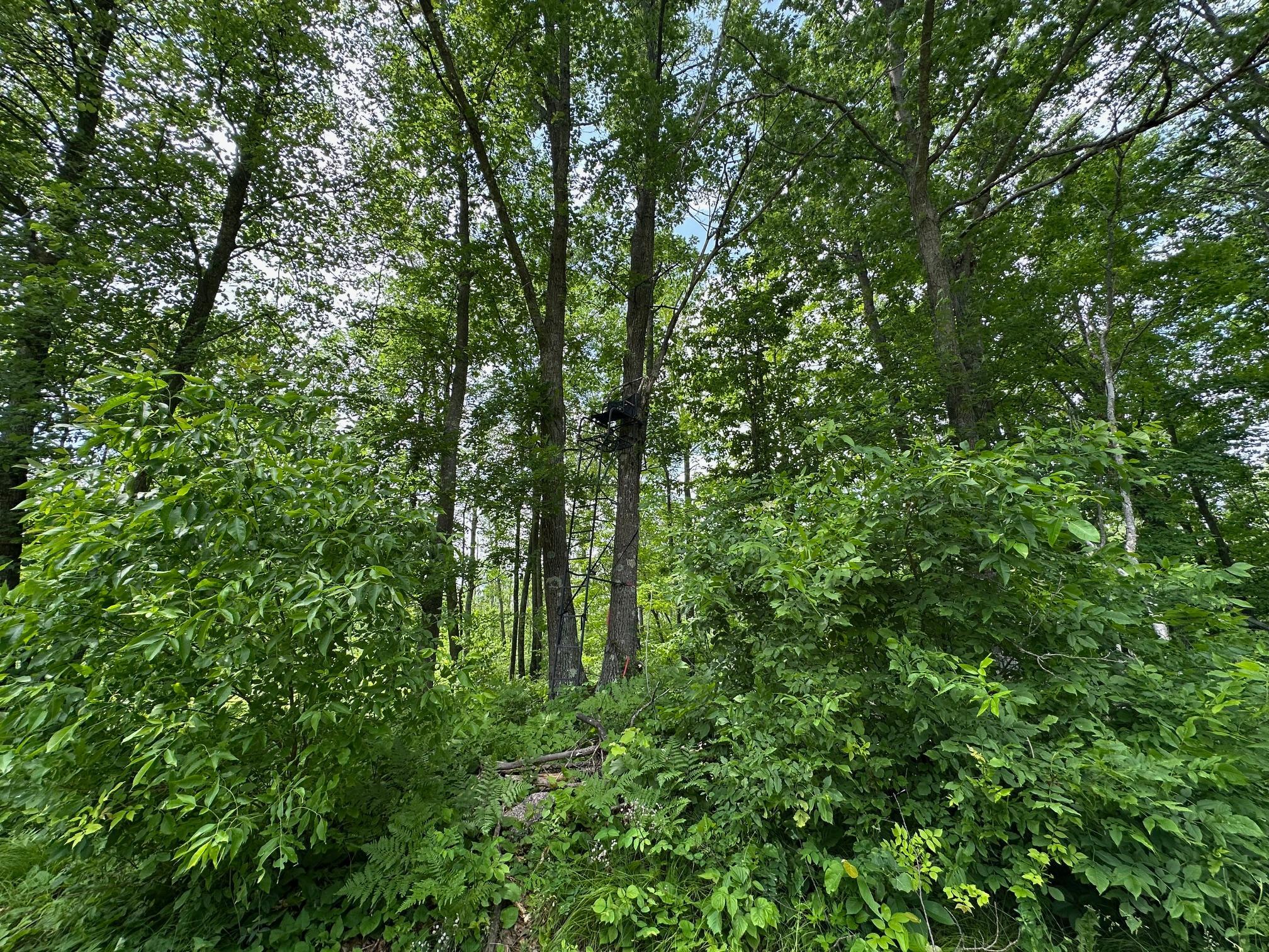 Tbd Tbd Tamarac Road Onamia, MN 56359 - Photo 15 of 49