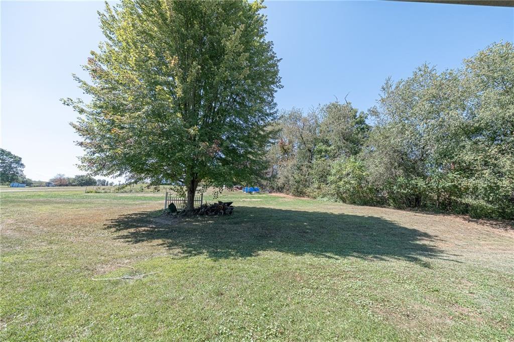 204 Marburger Road Evans City, PA 16033 - Photo 27 of 34 a view of a yard with a tree