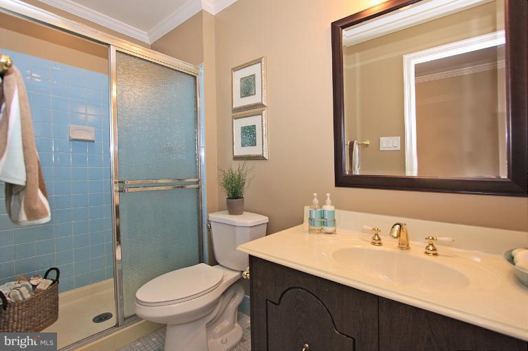 2431 Albot Road Reston, VA 20191 - Photo 23 of 30 Bath (Master)