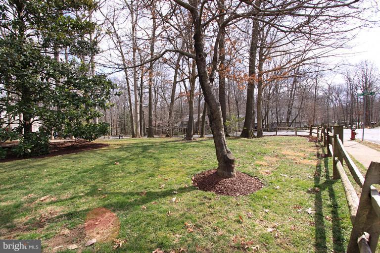 2431 Albot Road Reston, VA 20191 - Photo 28 of 30 Large Side Yard