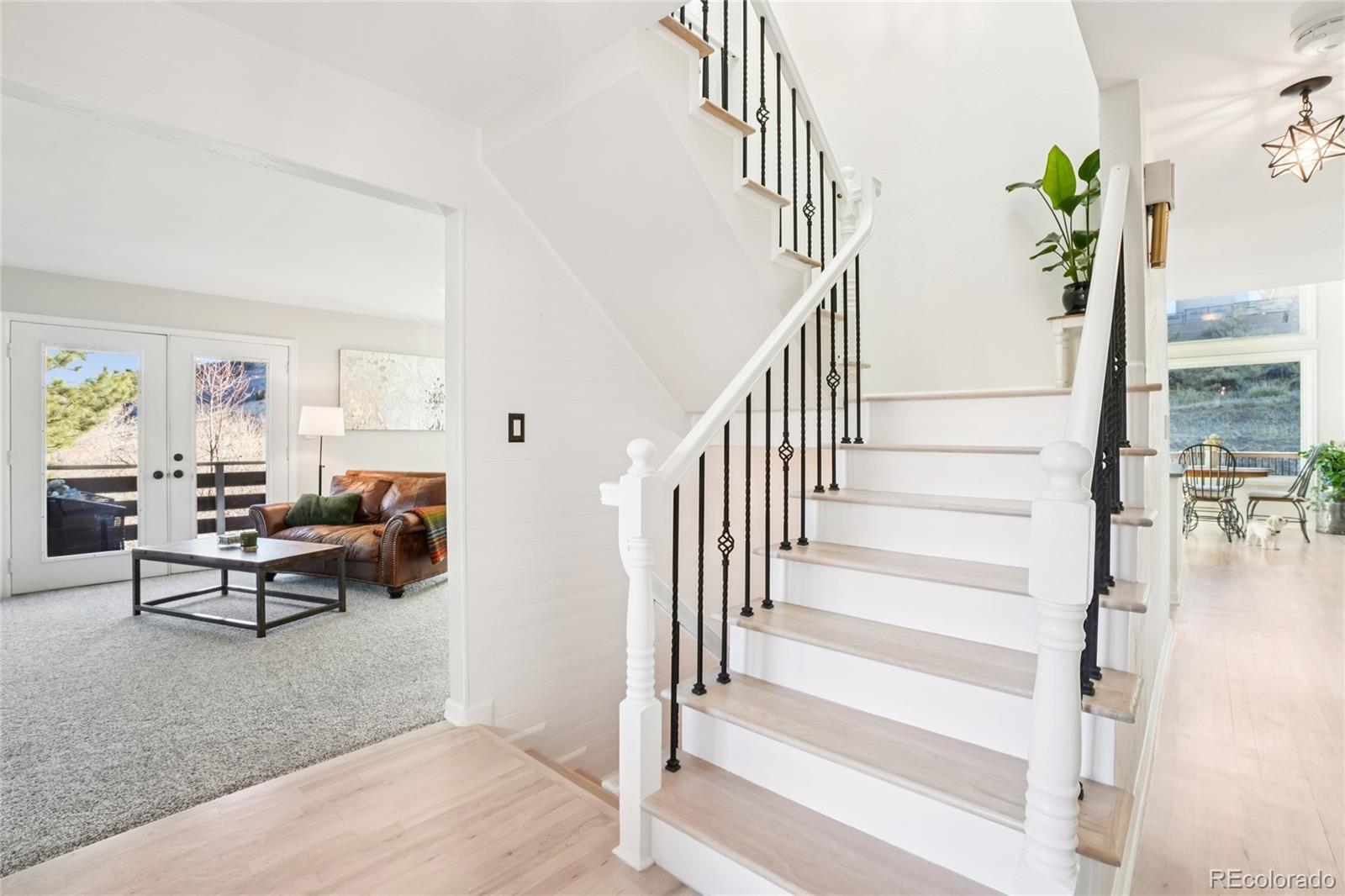 7084 Fox Paw Trail Littleton, CO 80125 - Photo 4 of 47