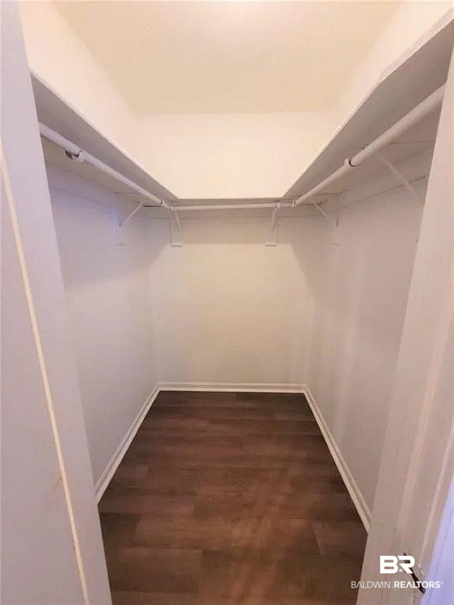 6701 Dickens Ferry Road, Unit 53 Mobile, AL 36608 - Photo 15 of 23 Walk in closet featuring dark wood-type flooring