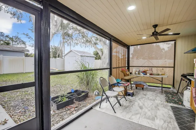 a view of a backyard with a large tree