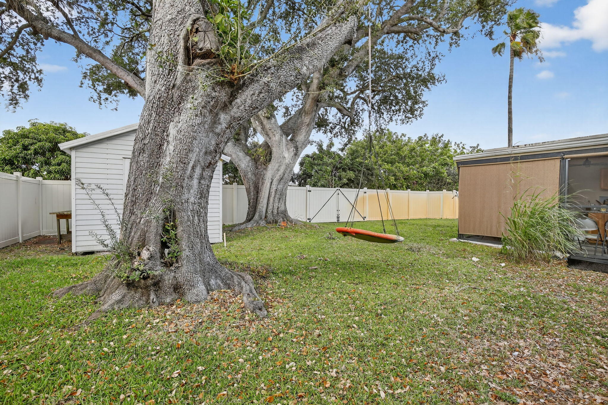 5507 McKinley Street Hollywood, FL 33021 - Photo 44 of 60 a view of a backyard with a tree
