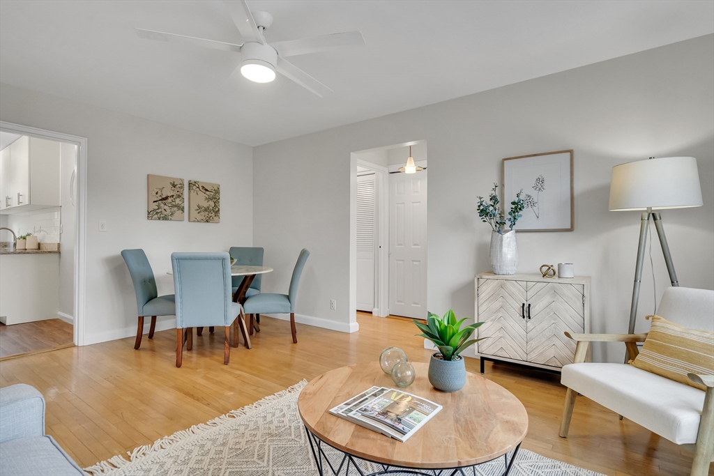 136 Beaconsfield Road, Unit 6 Brookline, MA 02445 - Photo 4 of 17 a living room with furniture potted plant and a lamp