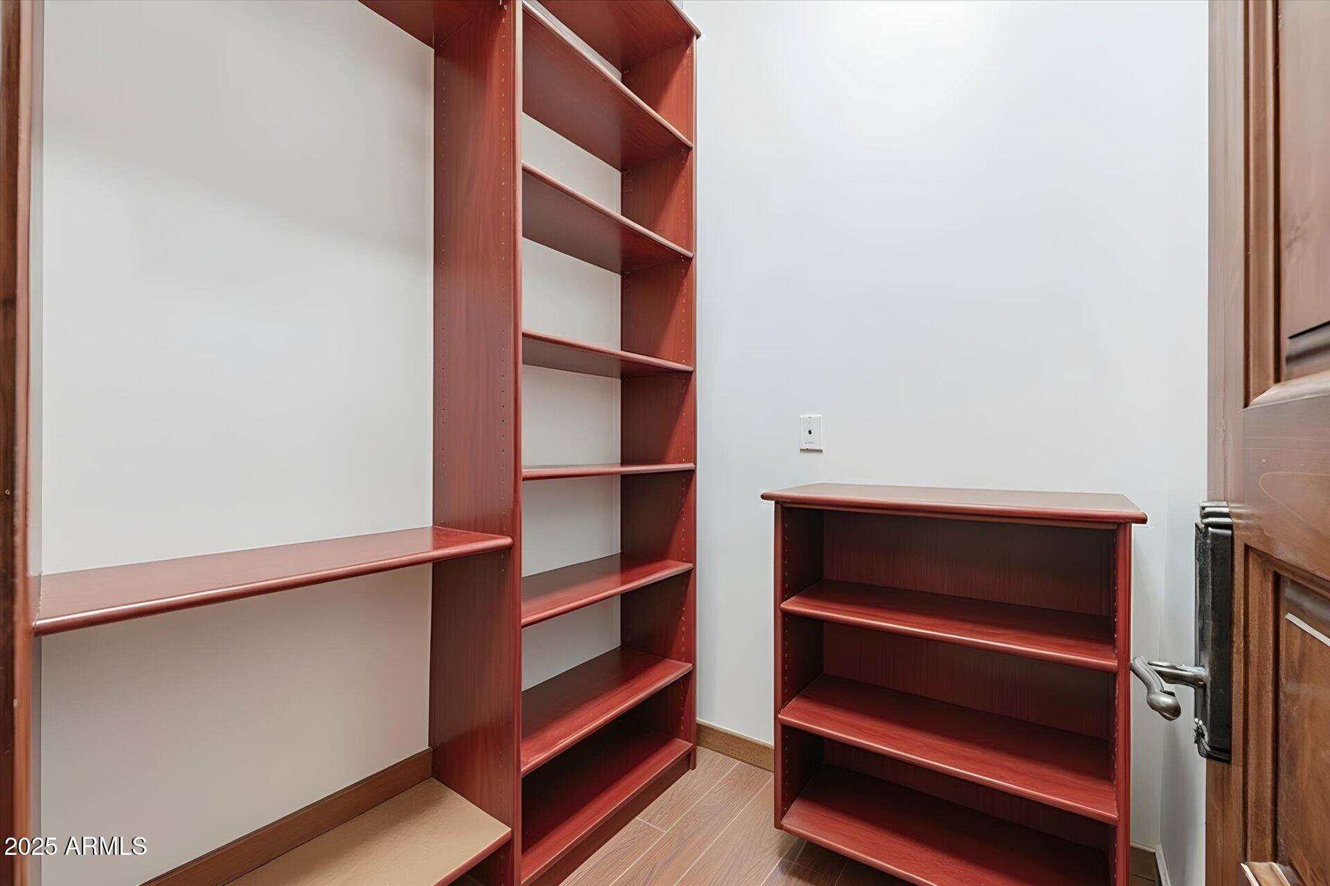 3121 East Bonanza Court Gilbert, AZ 85297 - Photo 51 of 83 a view of walk in closet with empty racks