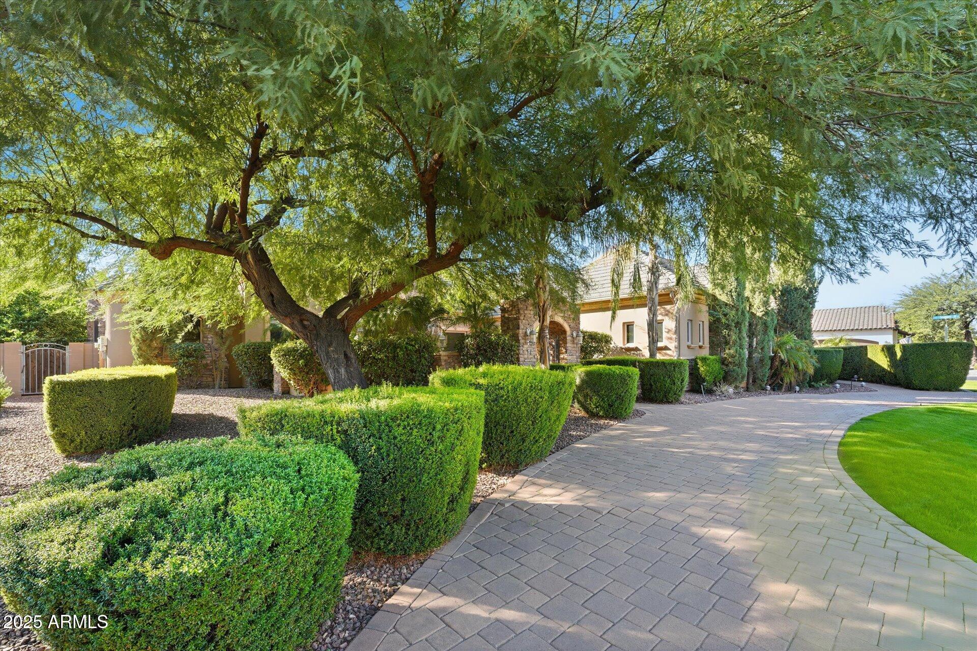 3121 East Bonanza Court Gilbert, AZ 85297 - Photo 8 of 83 a view of a garden with plants and large trees