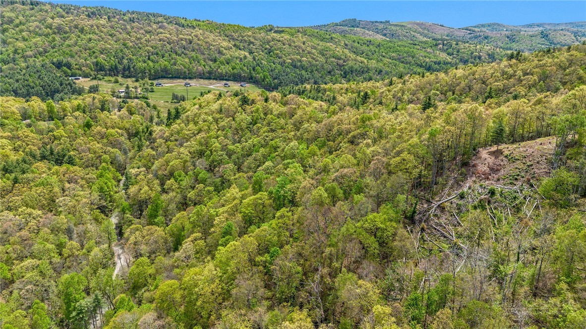 Canoe Gap Road West Jefferson, NC 28694 - Photo 9 of 20 Gallery Image 9