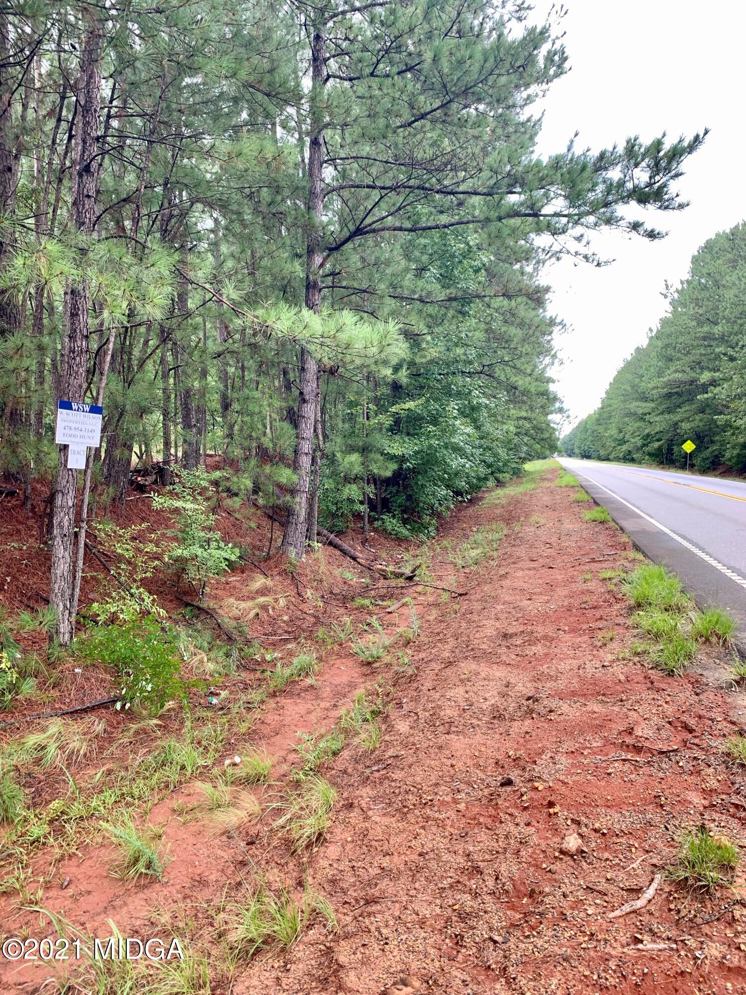 0 Ga Highway, Unit 1 Forsyth, GA 31029 - Photo 6 of 10 a view of backyard with green space