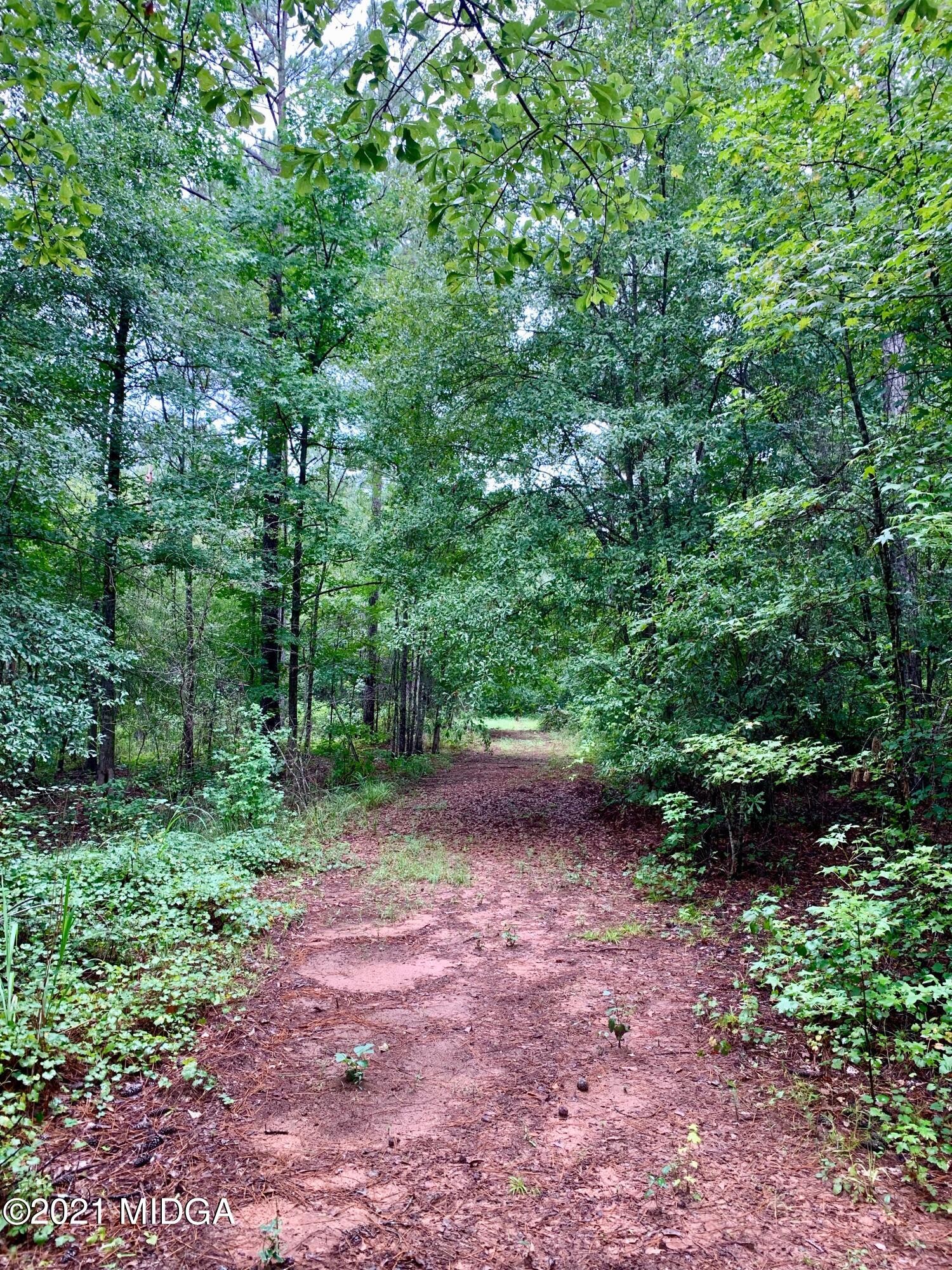 0 Ga Highway, Unit 1 Forsyth, GA 31029 - Photo 7 of 10 a view of a large yard with lots of green space