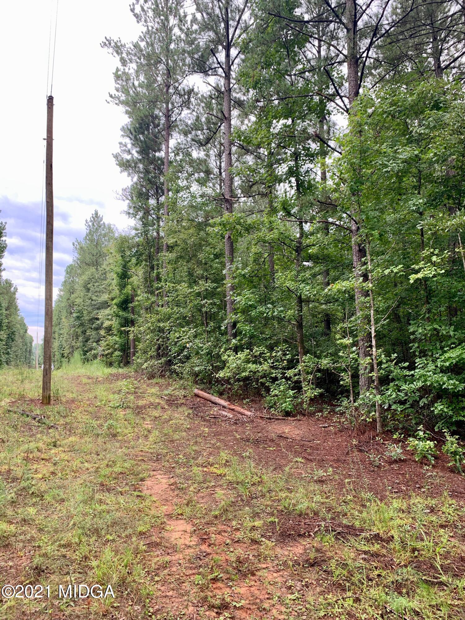 0 Ga Highway, Unit 1 Forsyth, GA 31029 - Photo 8 of 10 a view of a yard with a tree