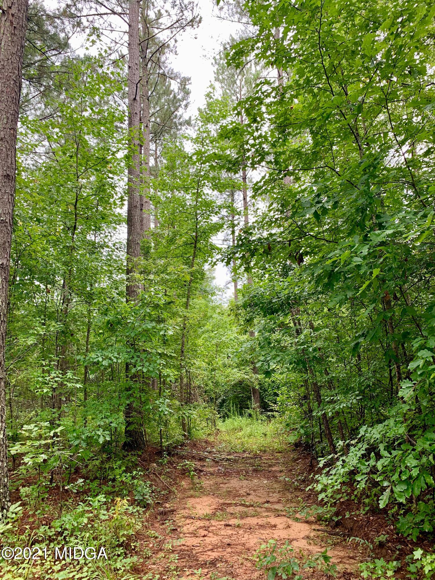 0 Ga Highway, Unit 1 Forsyth, GA 31029 - Photo 9 of 10 a view of a yard with plants and large trees