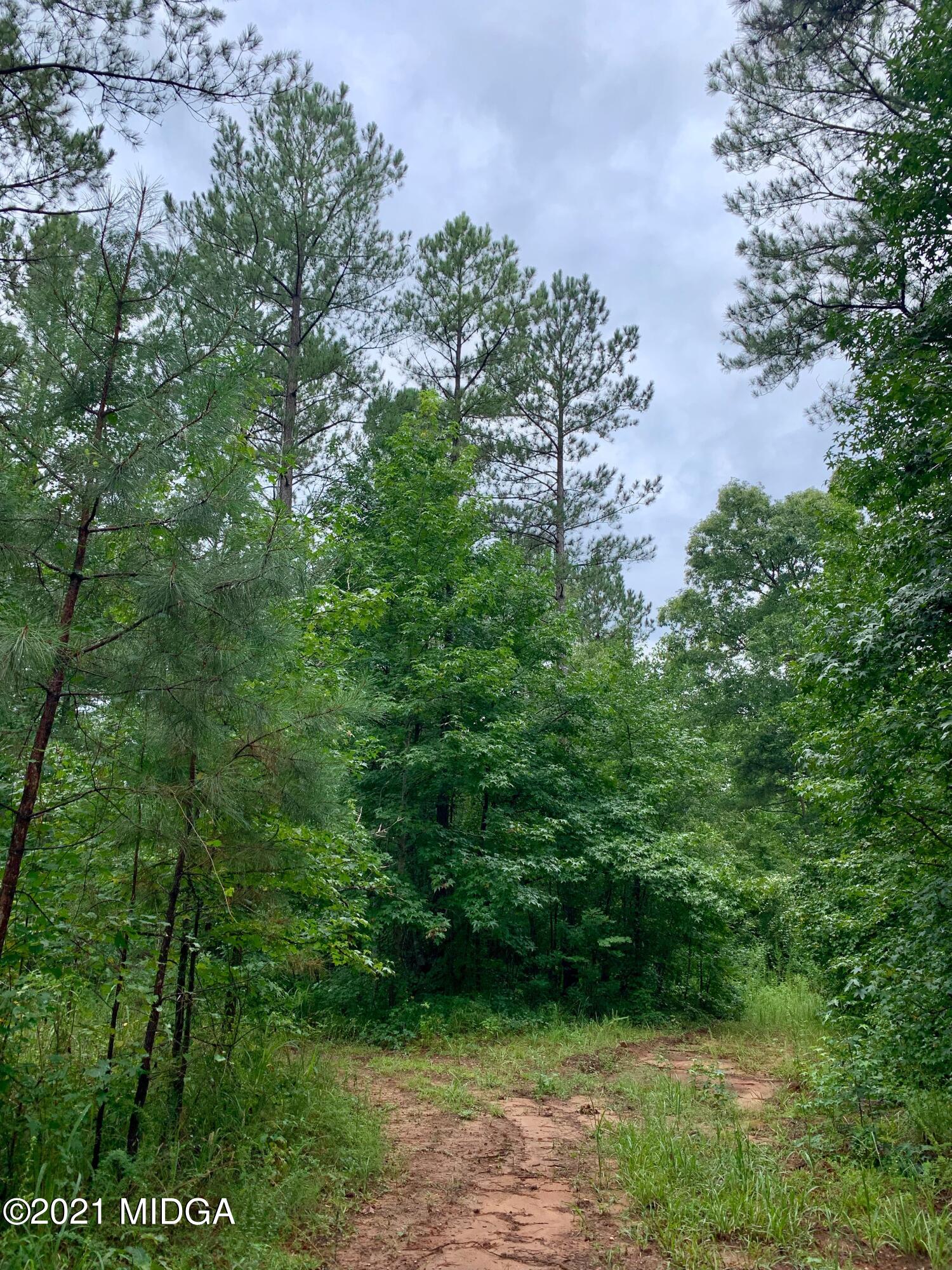 0 Ga Highway, Unit 1 Forsyth, GA 31029 - Photo 10 of 10 a view of a yard