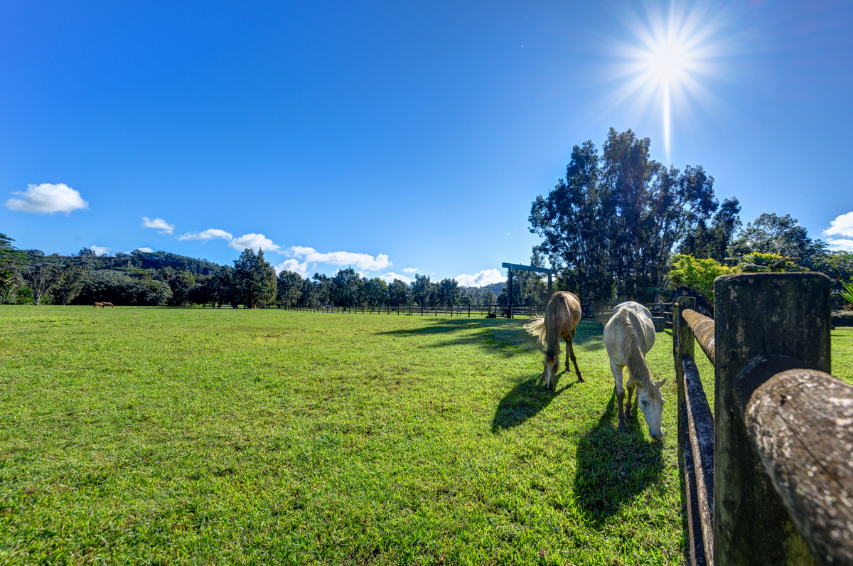 2818 Kamookoa Road, Unit 1 Kilauea, HI 96754 - Photo 19 of 30