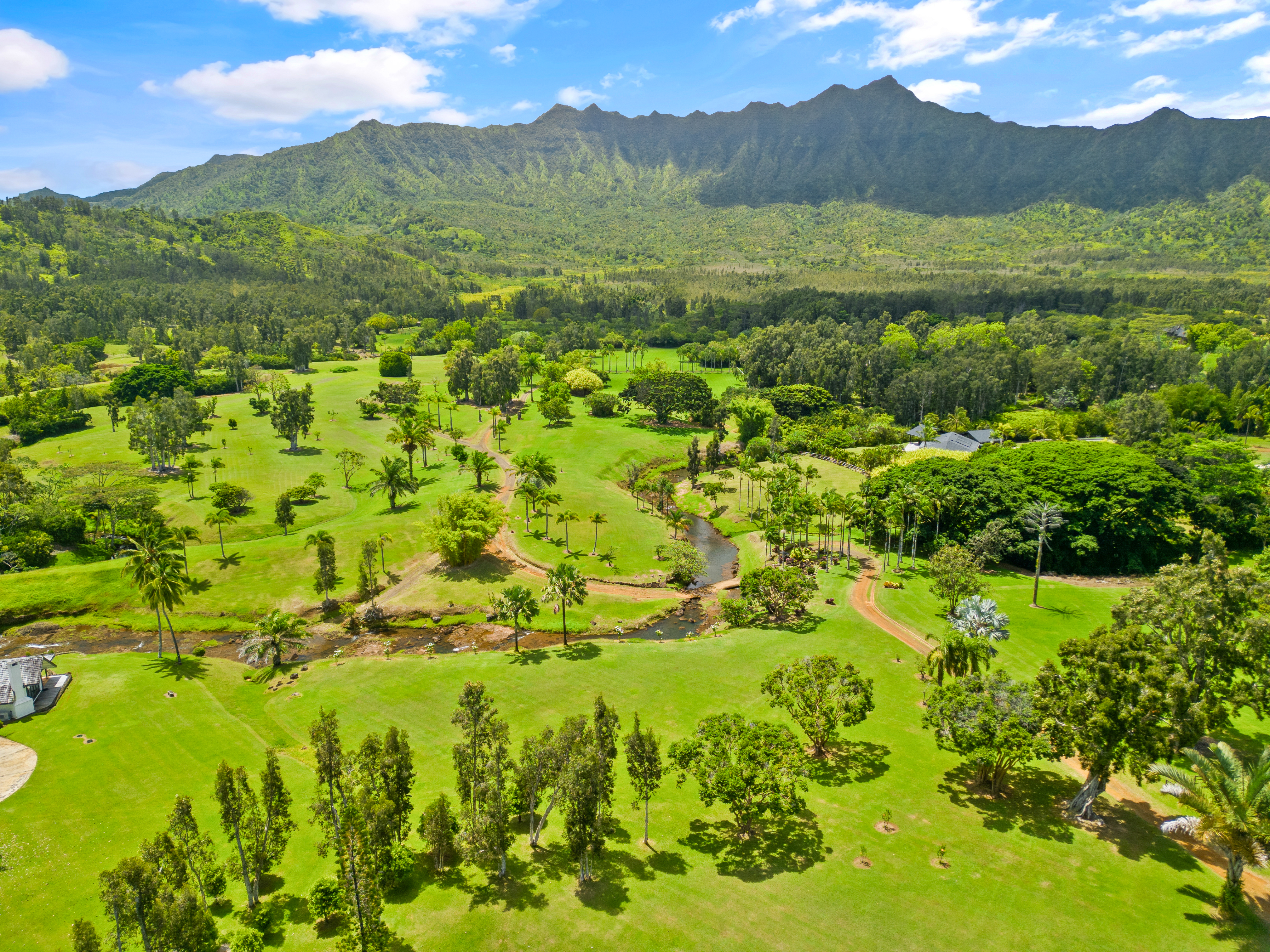 2818 Kamookoa Road, Unit 1 Kilauea, HI 96754 - Photo 2 of 30