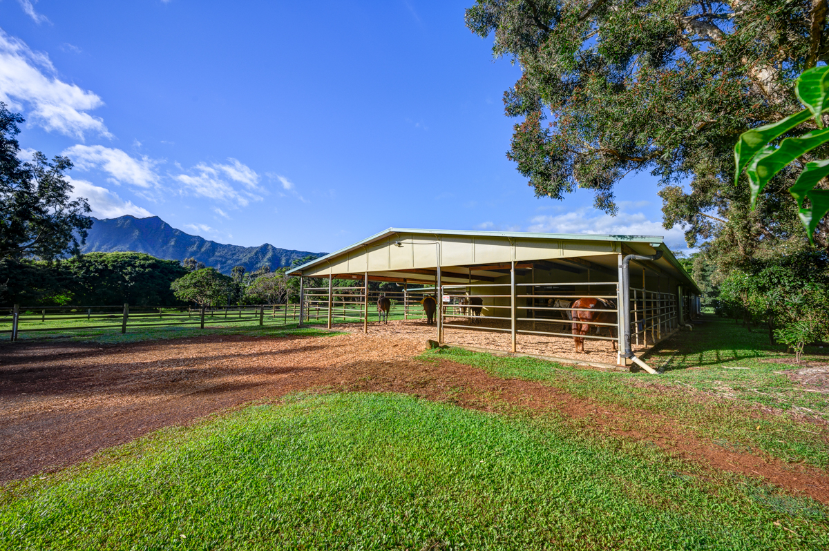 2818 Kamookoa Road, Unit 1 Kilauea, HI 96754 - Photo 23 of 30