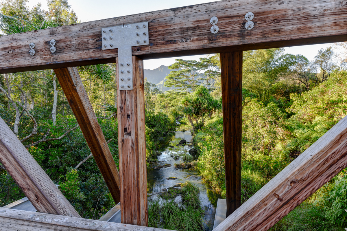 2818 Kamookoa Road, Unit 1 Kilauea, HI 96754 - Photo 28 of 30