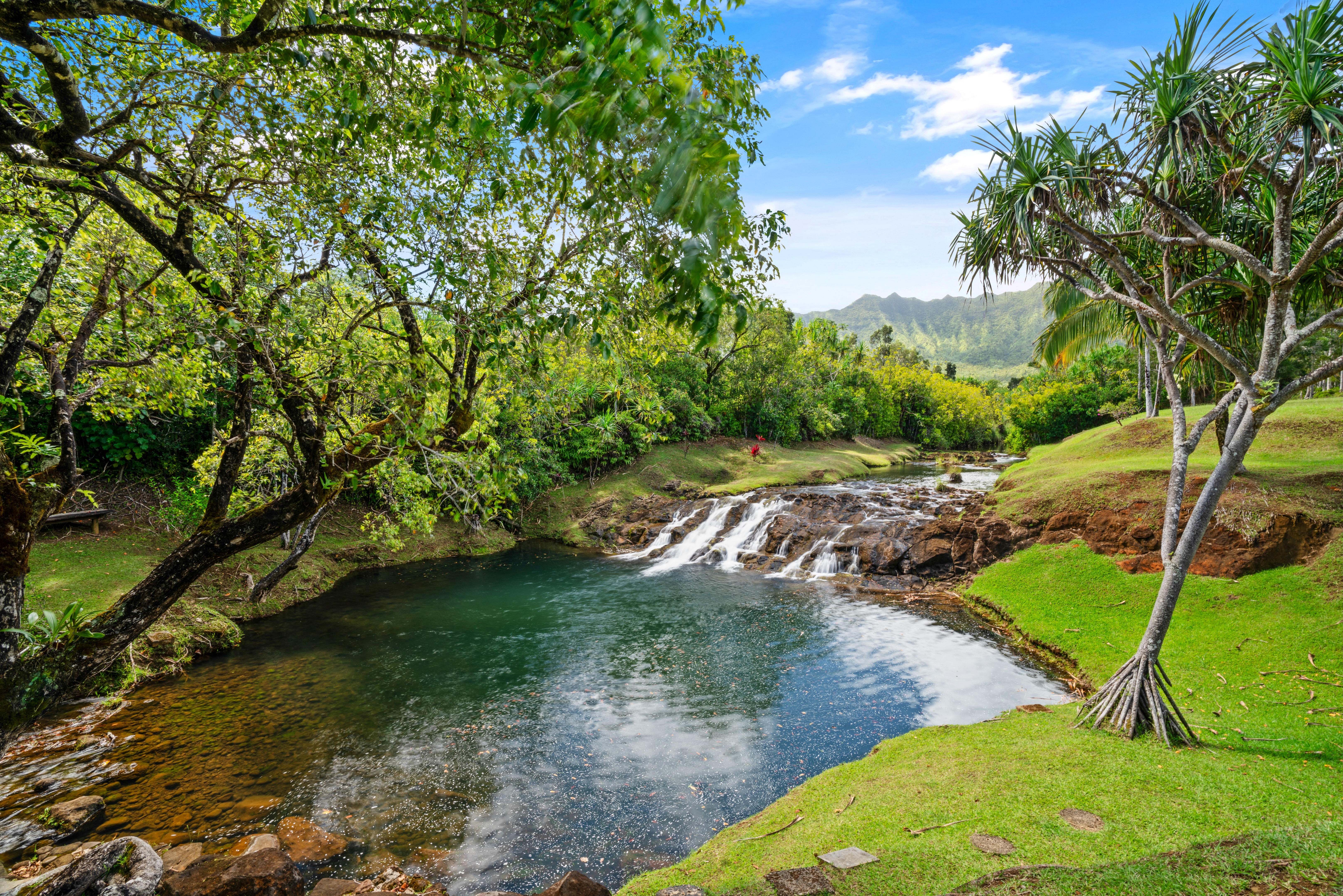 2818 Kamookoa Road, Unit 1 Kilauea, HI 96754 - Photo 3 of 30