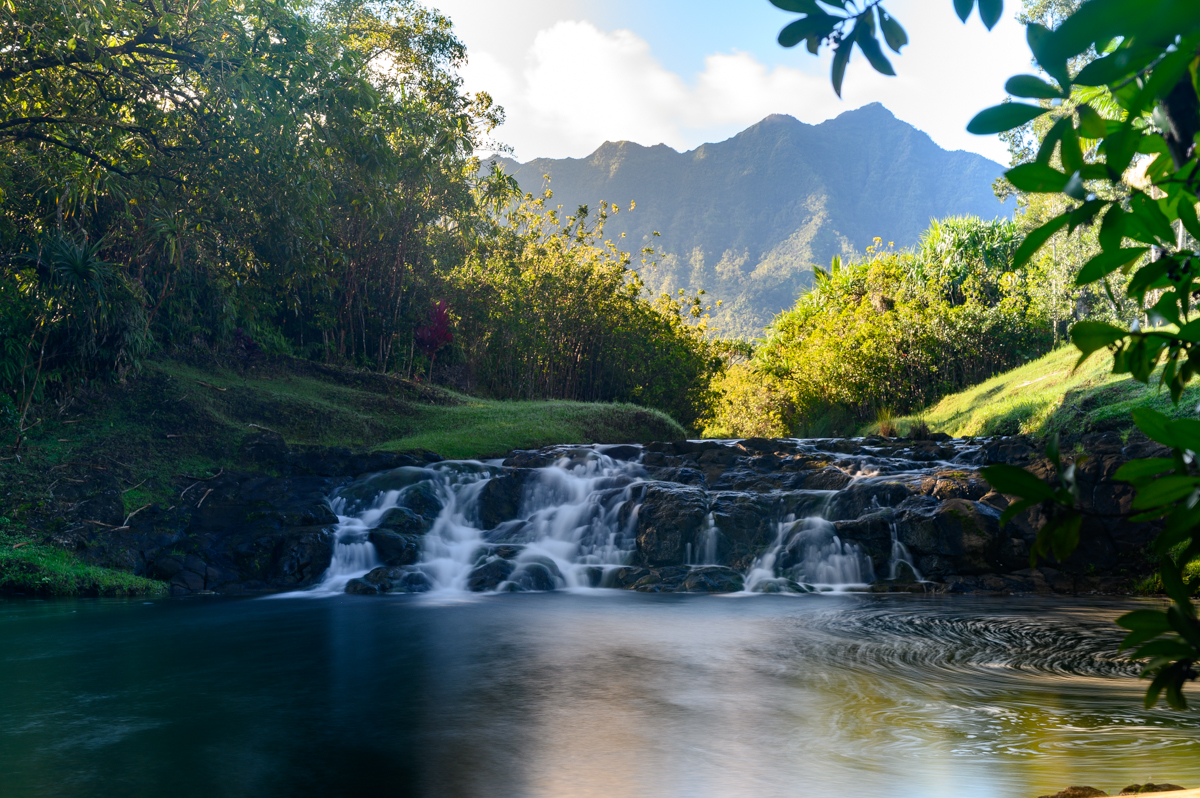 2818 Kamookoa Road, Unit 1 Kilauea, HI 96754 - Photo 5 of 30