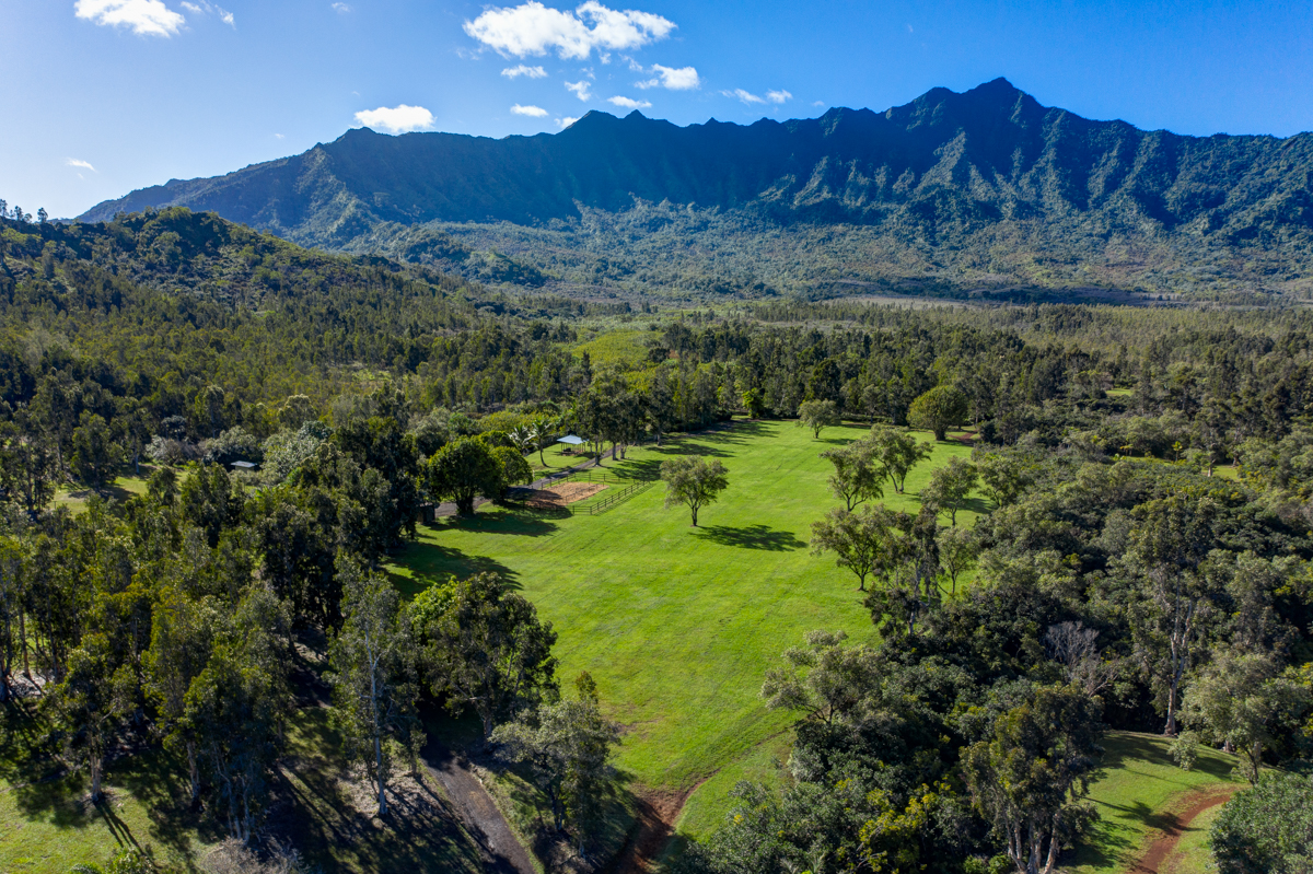 2818 Kamookoa Road, Unit 1 Kilauea, HI 96754 - Photo 7 of 30