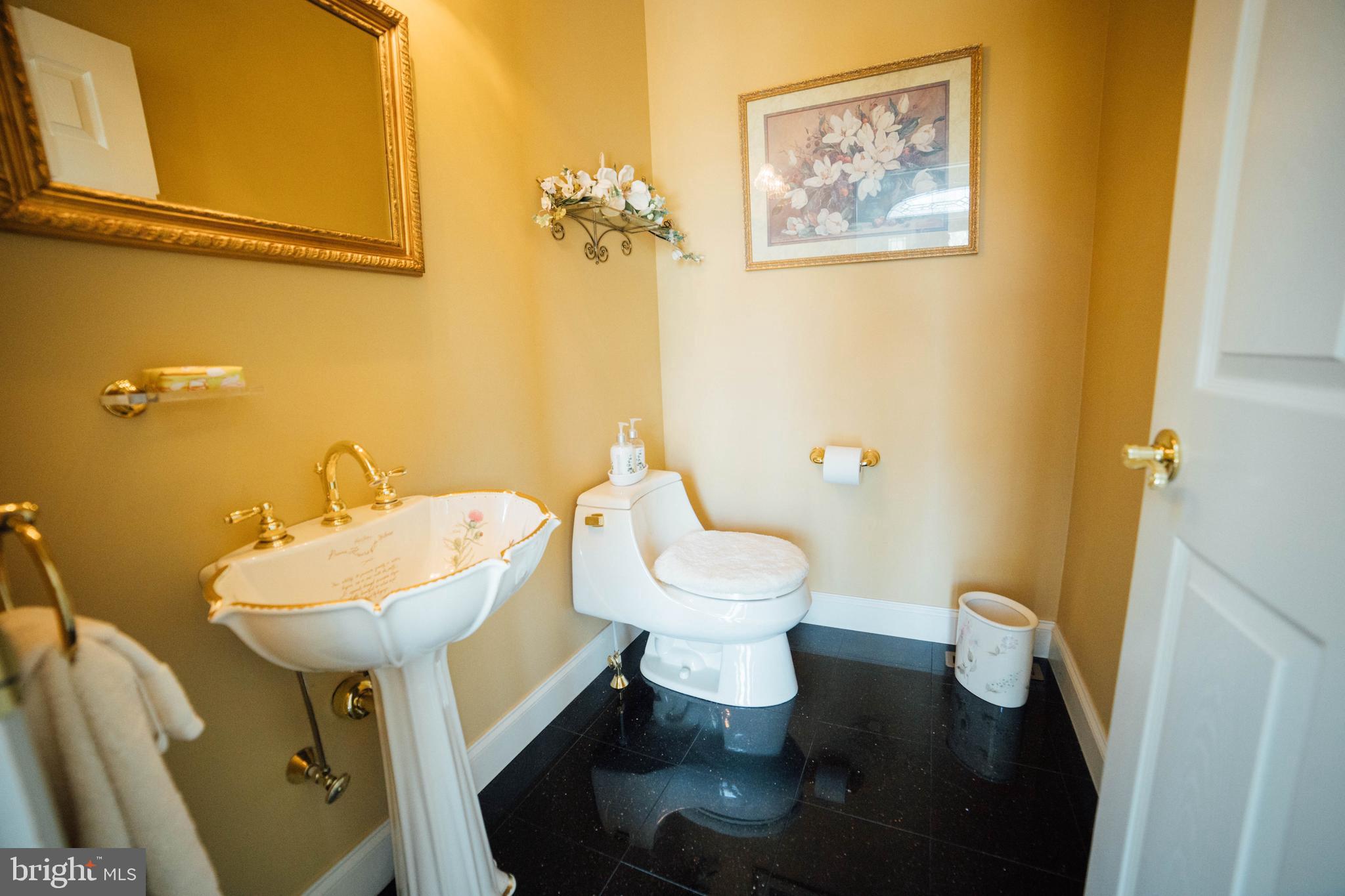 7 Slitting Mill Road Glen Mills, PA 19342 - Photo 18 of 59 Powder Room