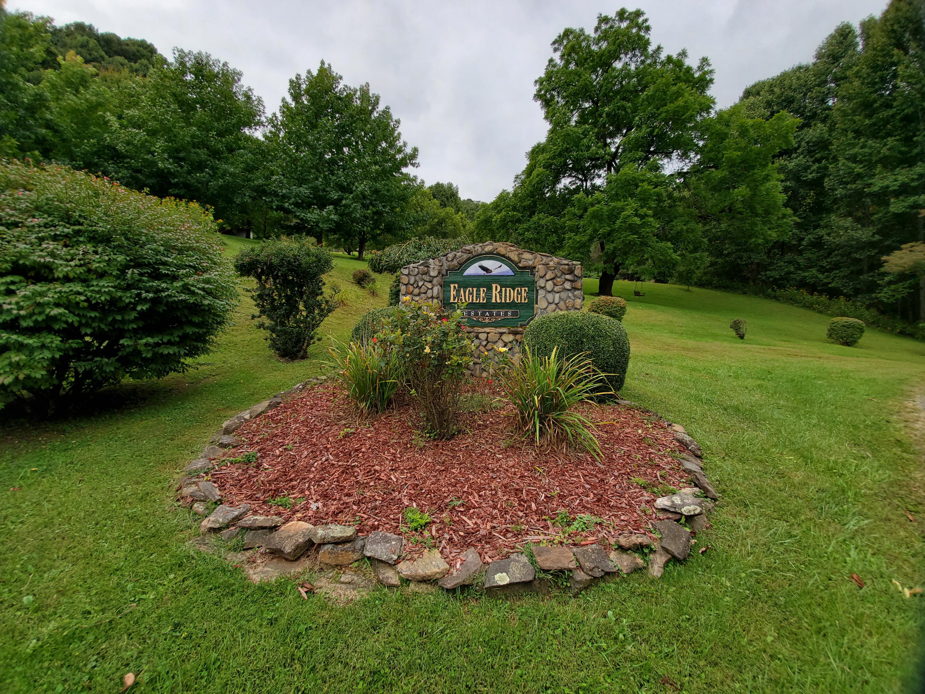 Tbd Eagle Ridge Road, Unit 16 Roan Mountain, TN 37687 - Photo 1 of 8 20200919_124544