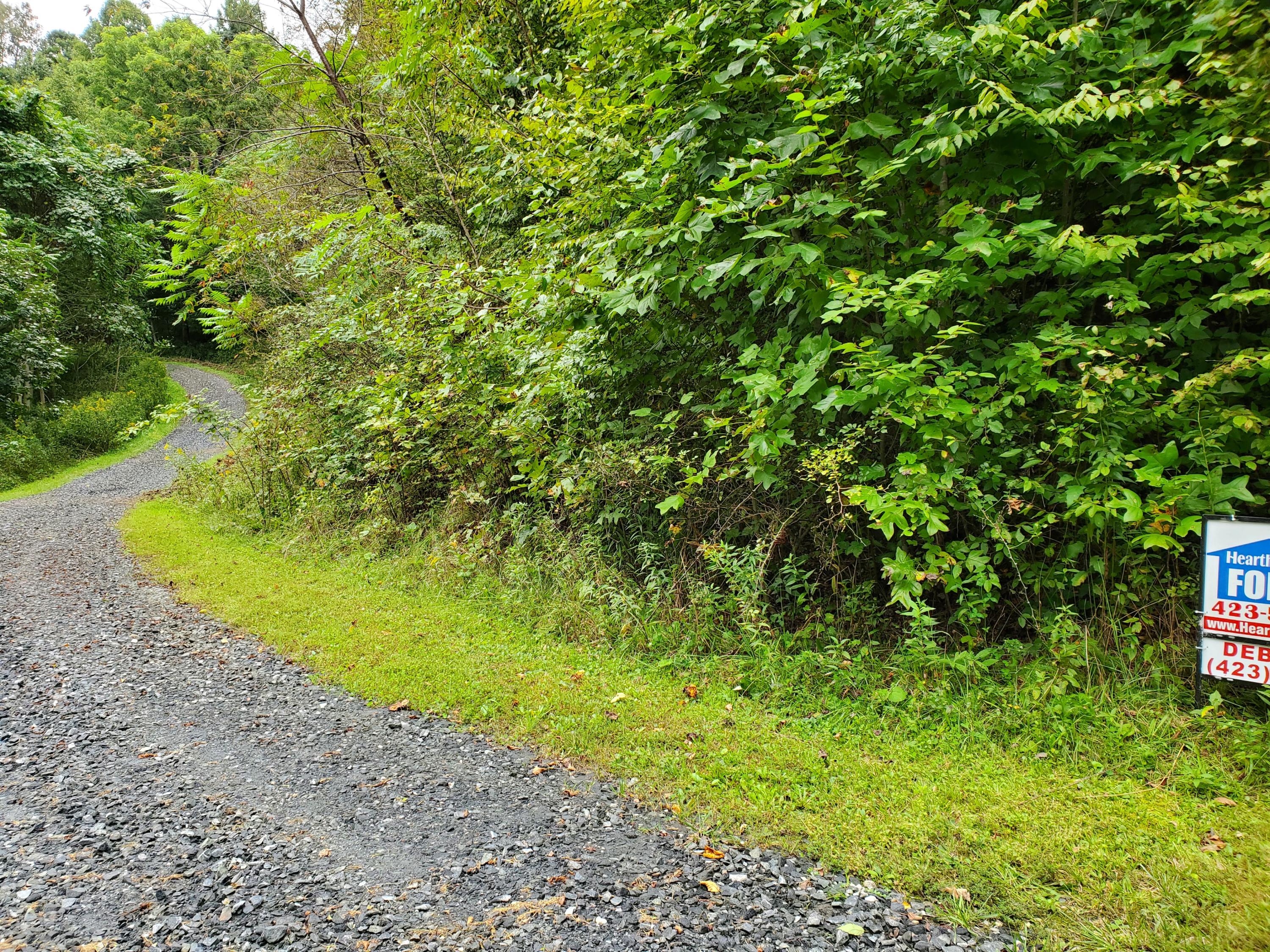 Tbd Eagle Ridge Road, Unit 16 Roan Mountain, TN 37687 - Photo 5 of 8 20200919_124030