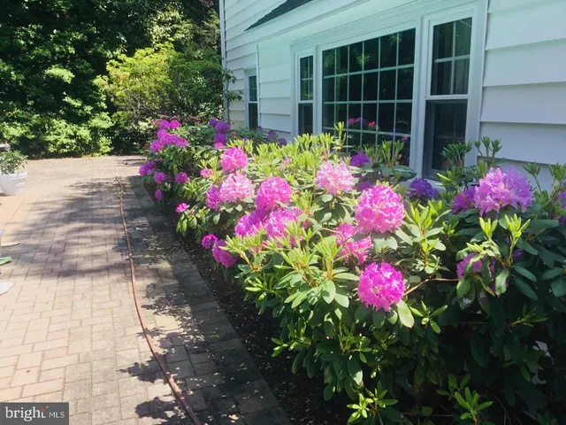 a view of a flower garden