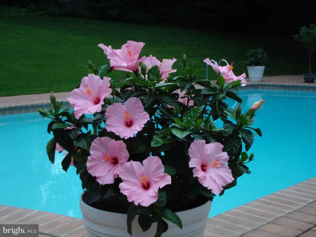 $775,000 | 7 Todmorden Drive, Rose Valley, PA 19086