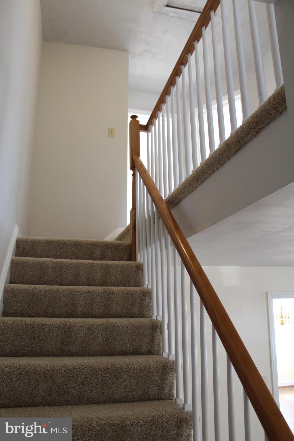 6119 Regent Park Road Baltimore, MD 21228 - Photo 27 of 55 New Carpeting on Stairs to Upper Level