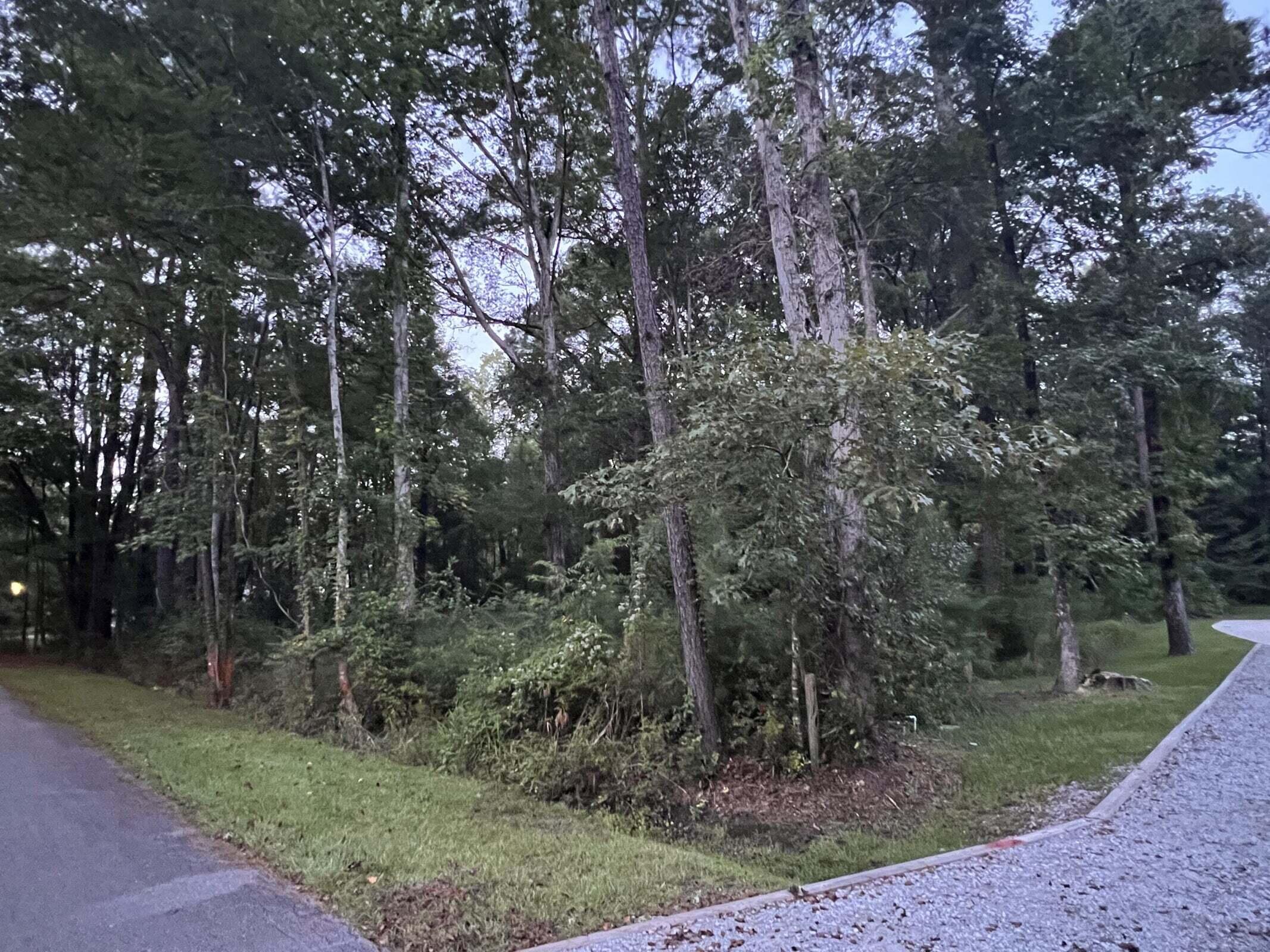 0 Huntington Road Summerville, SC 29483 - Photo 4 of 4 20220906195015736622000000-o
