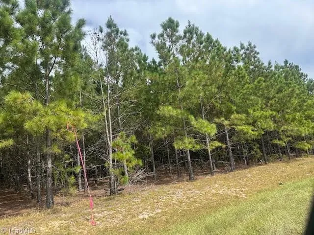 $99,000 | 13 Belford Church Road, Jackson Springs, NC 27281