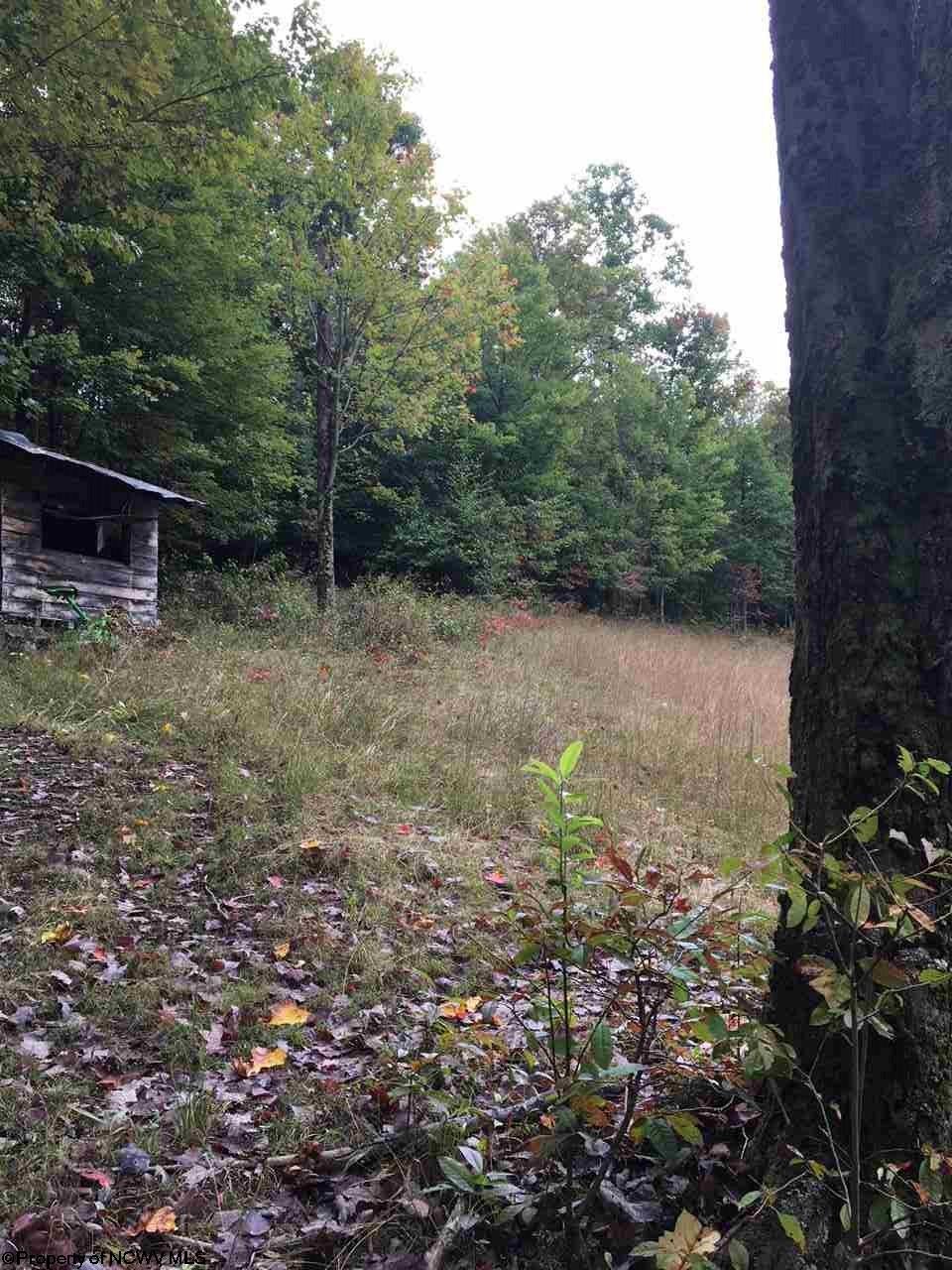 105 Marvin Caynor Road Ellamore, WV 26267 - Photo 2 of 8 Gallery Image 2