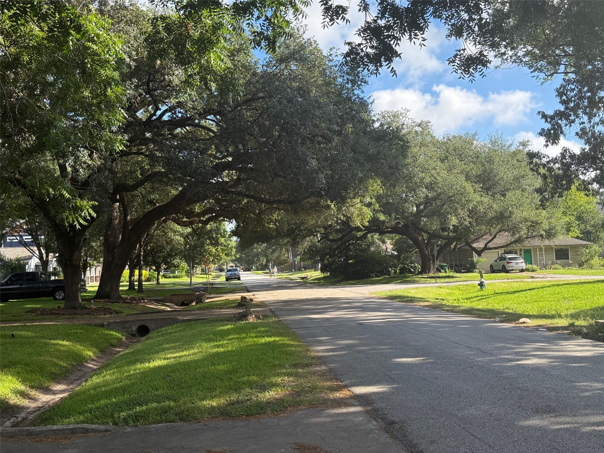 4125 Apollo Street Houston, TX 77018 - Photo 2 of 6