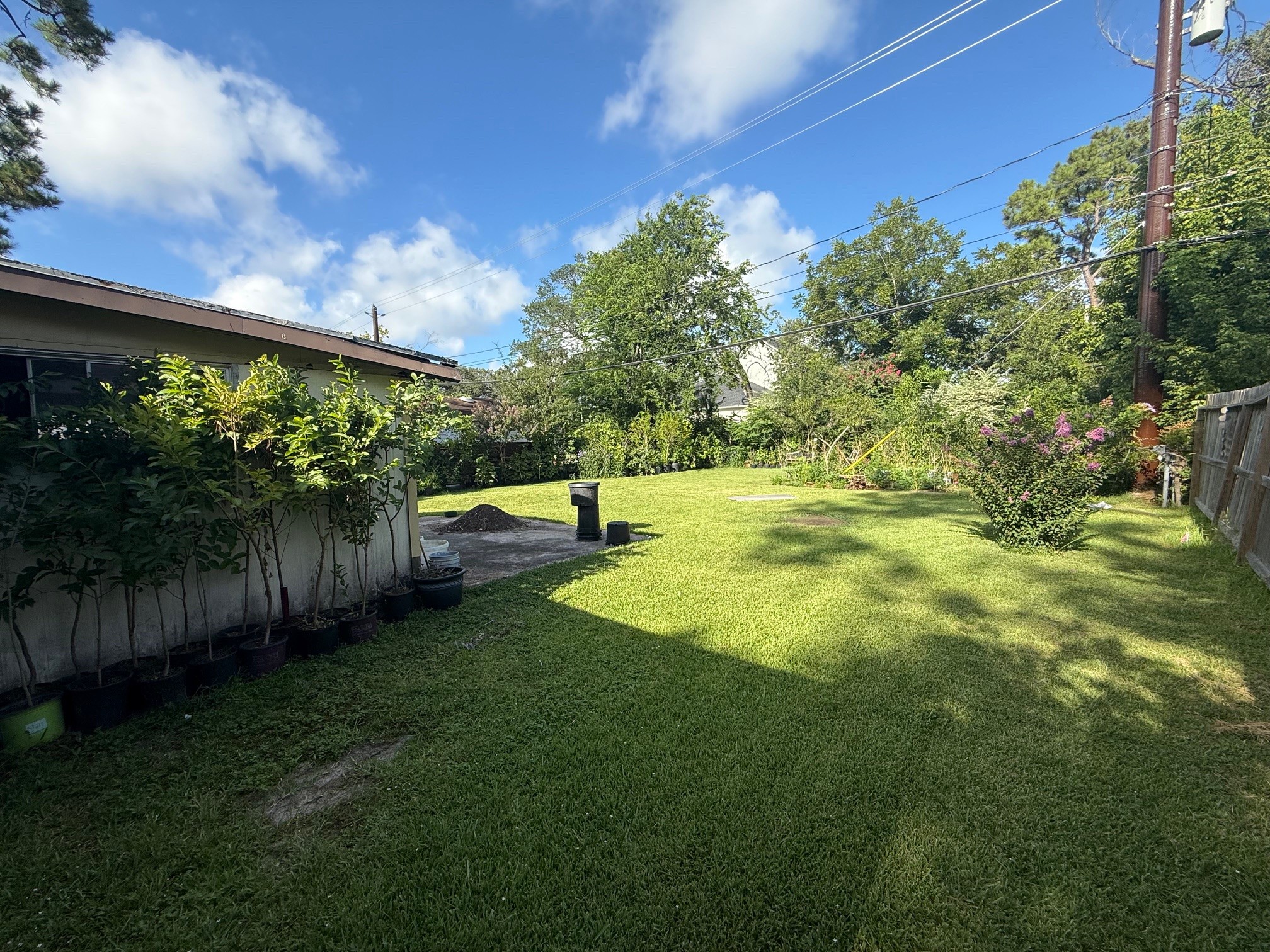 4125 Apollo Street Houston, TX 77018 - Photo 3 of 6