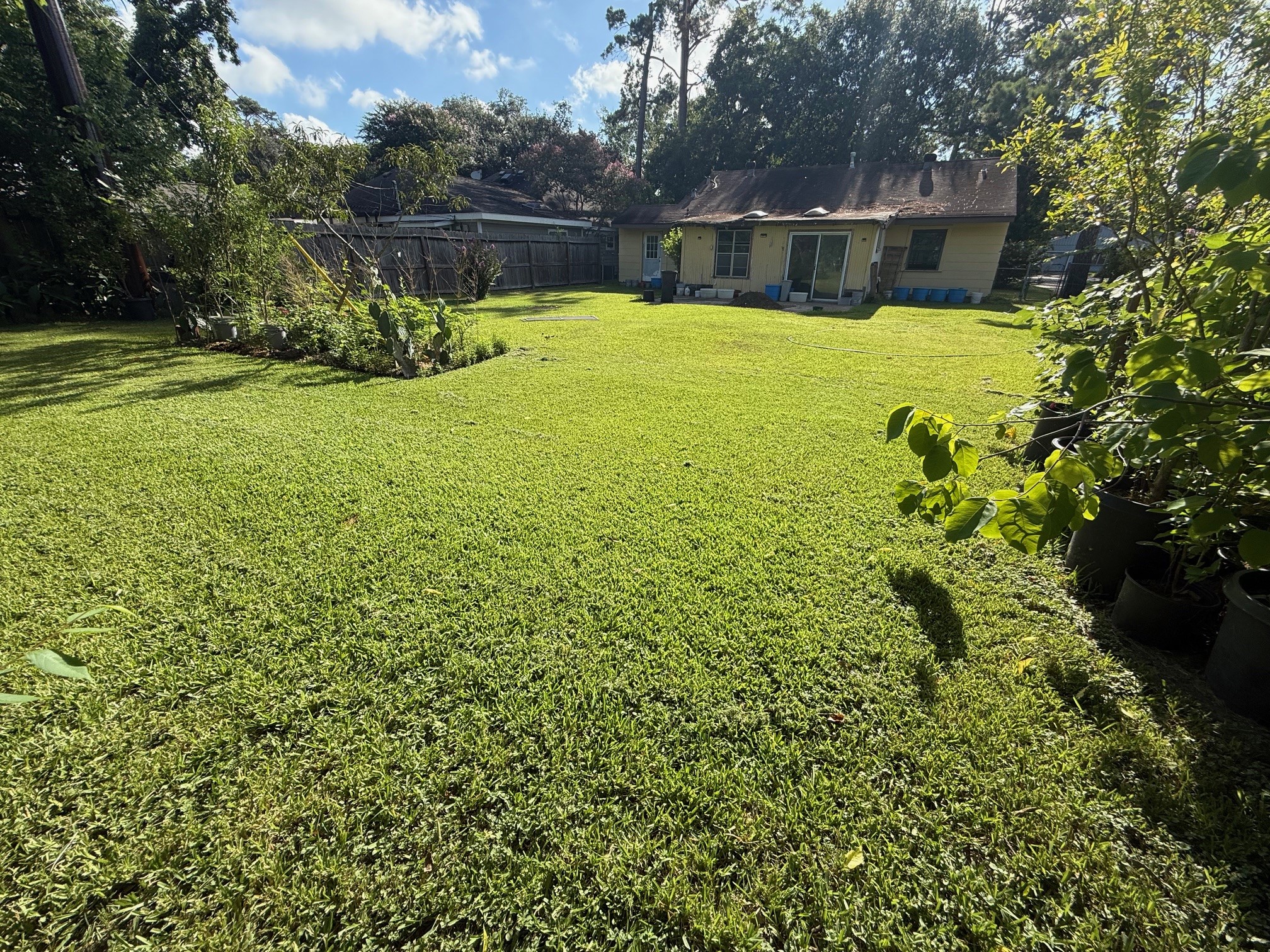 4125 Apollo Street Houston, TX 77018 - Photo 4 of 6