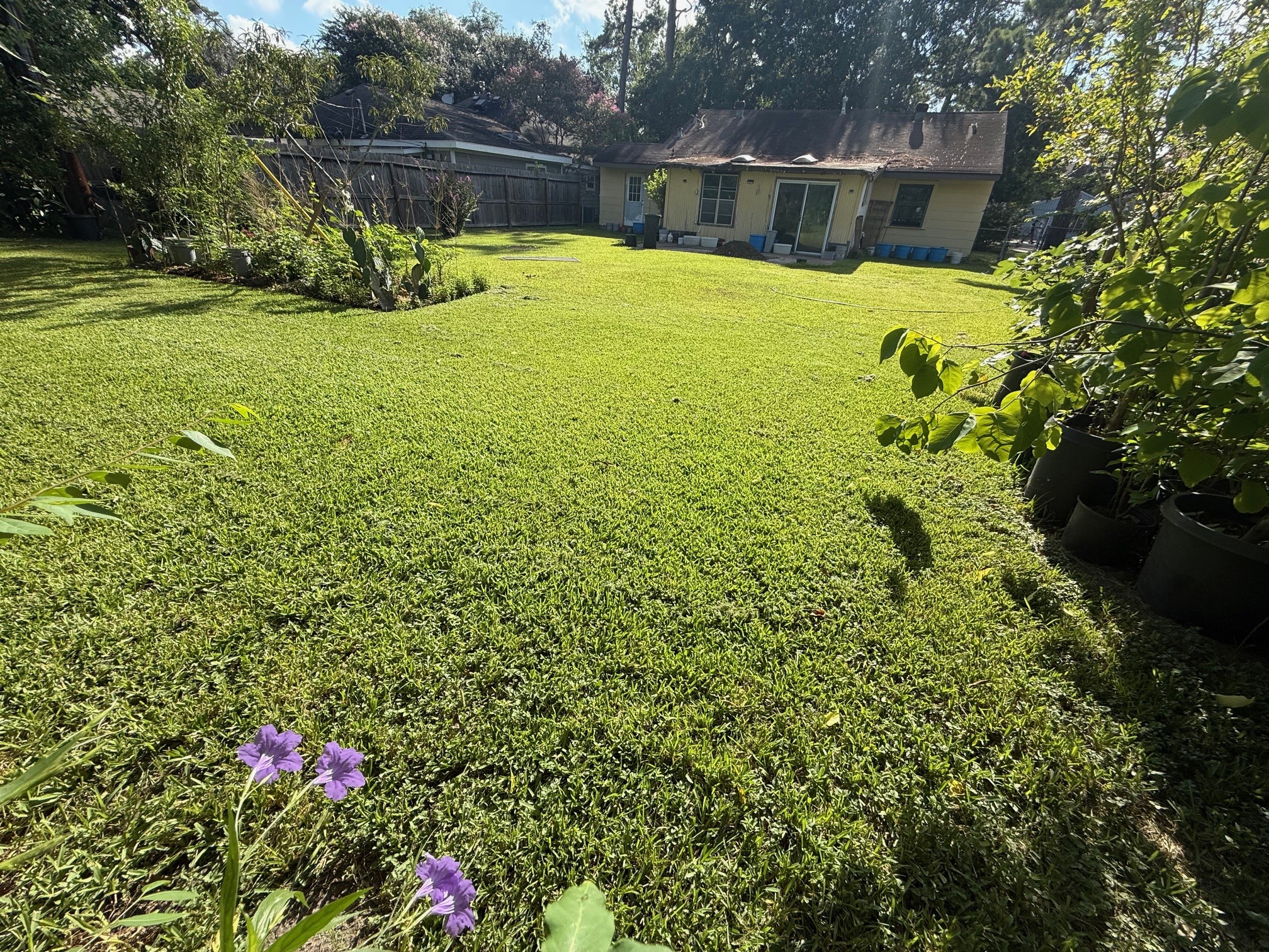 4125 Apollo Street Houston, TX 77018 - Photo 5 of 6