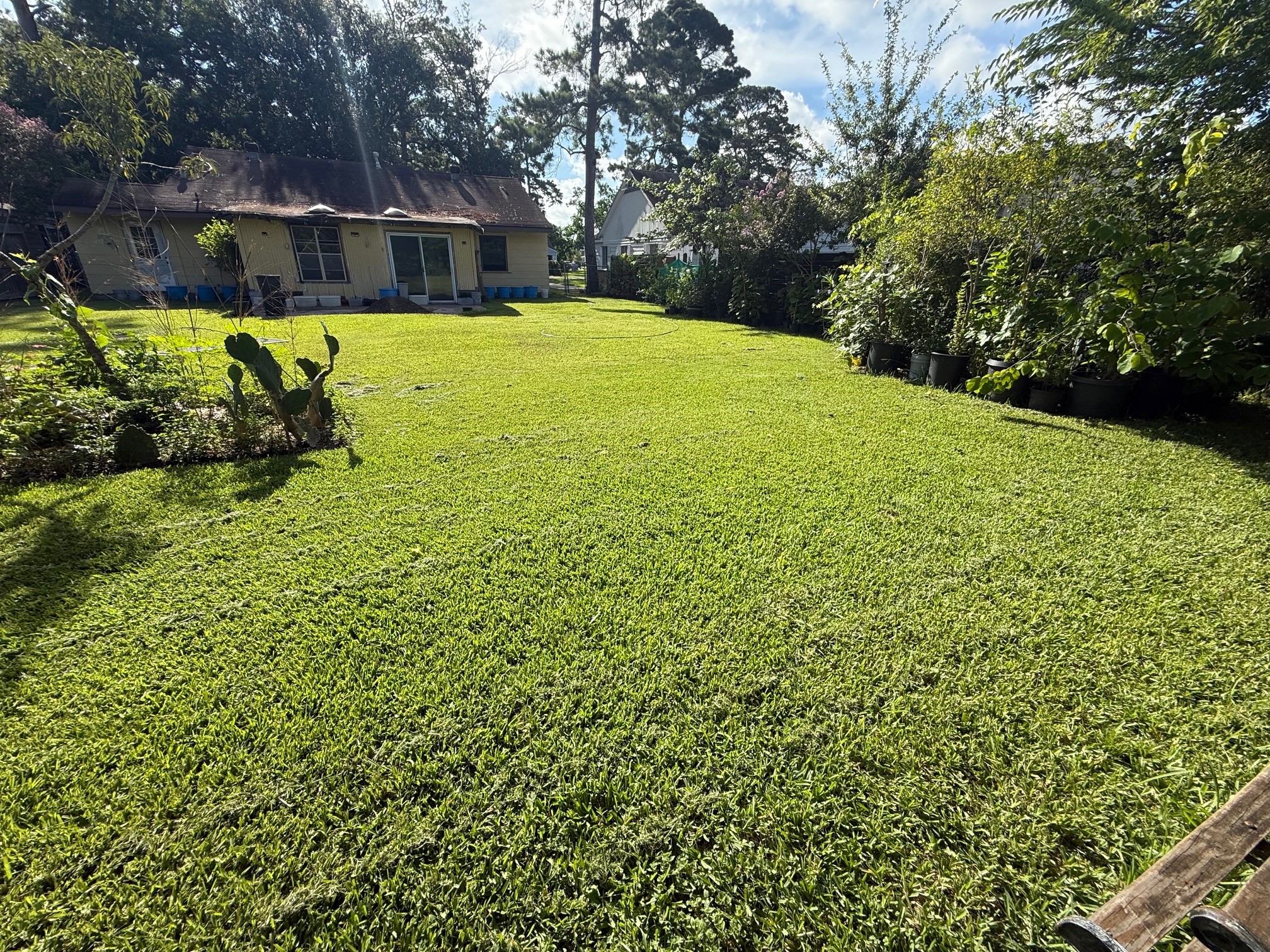 4125 Apollo Street Houston, TX 77018 - Photo 6 of 6