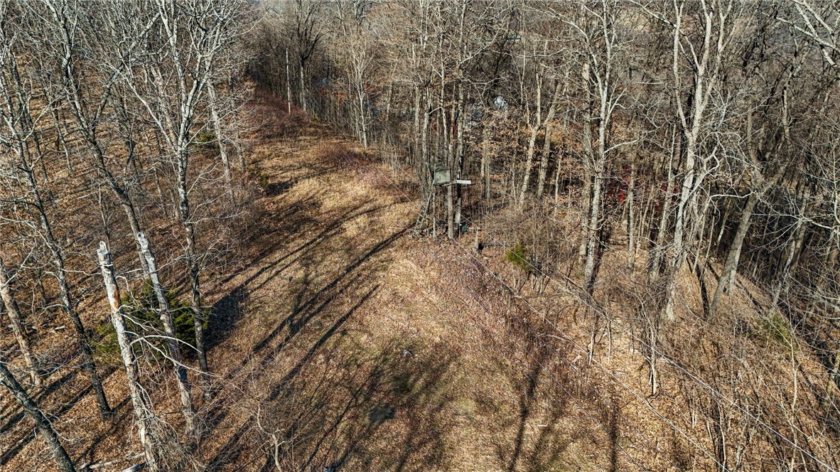10557 North Devils Den Road Winslow, AR 72959 - Photo 47 of 60 View of undeveloped land
