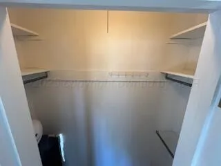 a bathroom with a shower and a toilet