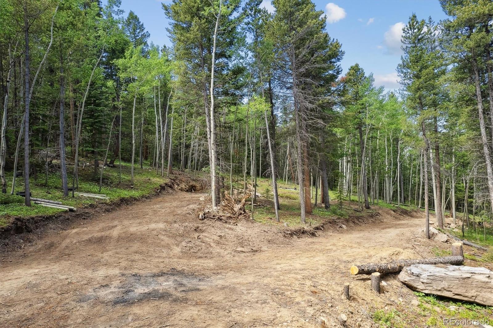 3450 Smith Hill Road Black Hawk, CO 80422 - Photo 9 of 30