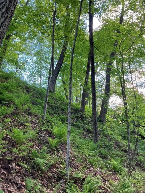 N3953-201 Bear Pen Road Arkansaw, WI 54721 - Photo 15 of 43