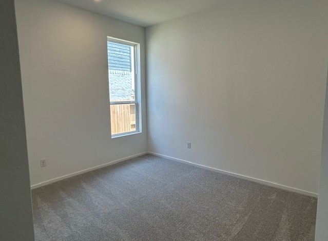 8310 Holly Blue Drive Rosharon, TX 77583 - Photo 15 of 33 **Photos are representative only. This is not the actual homesite.**