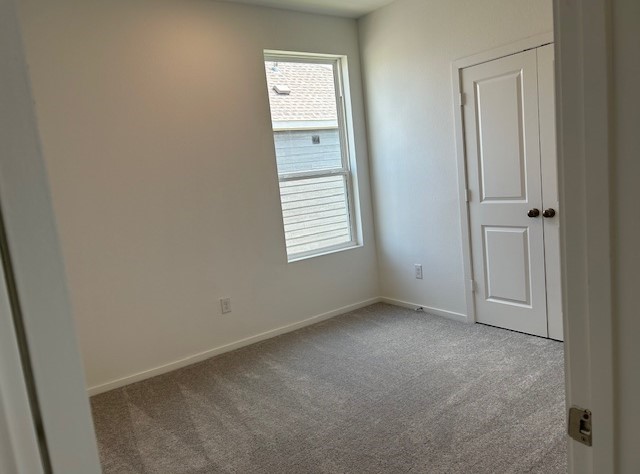 8310 Holly Blue Drive Rosharon, TX 77583 - Photo 17 of 33 **Photos are representative only. This is not the actual homesite.**