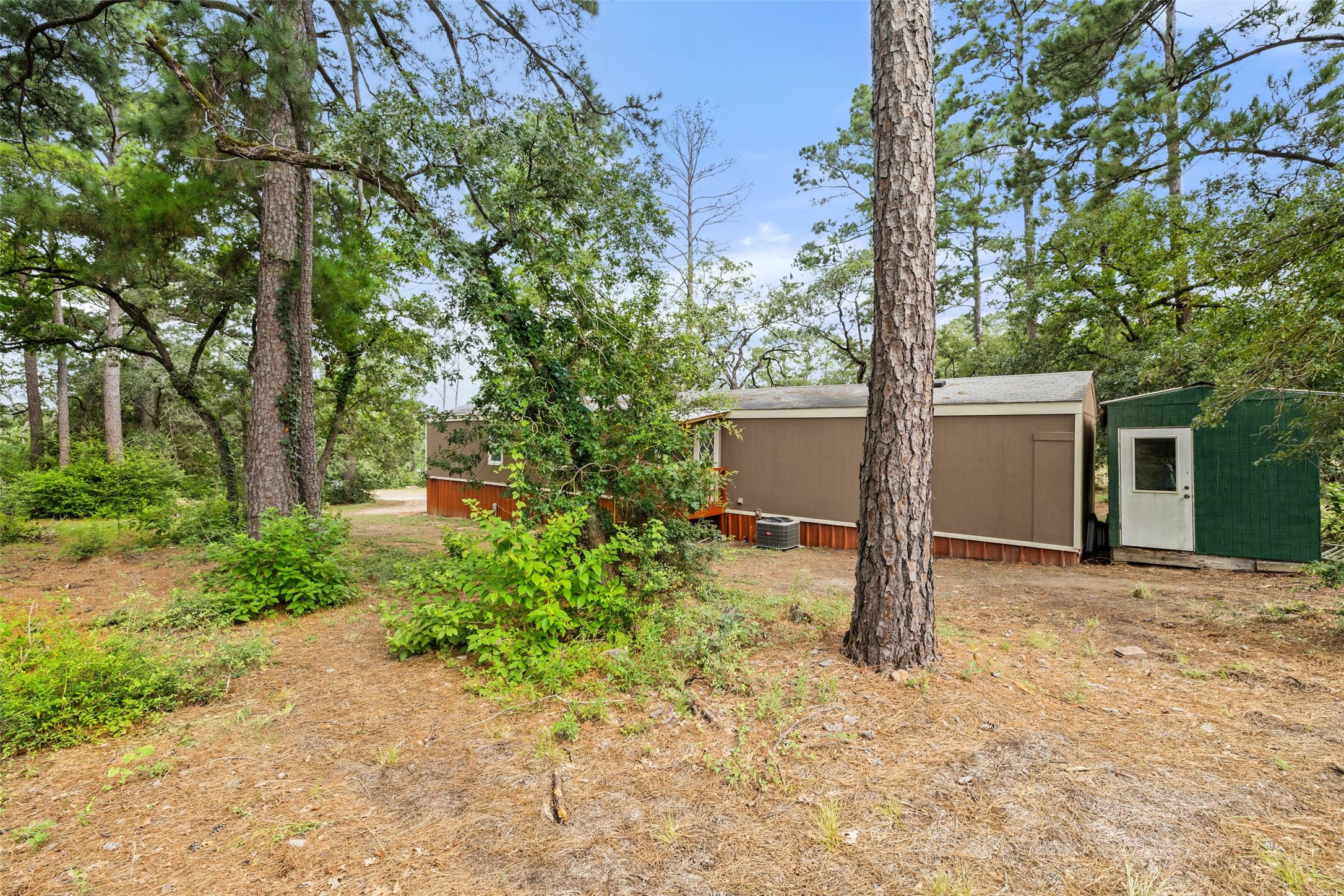301 Porter Road, Unit A Bastrop, TX 78602 - Photo 23 of 28 a backyard of a house with plants and trees