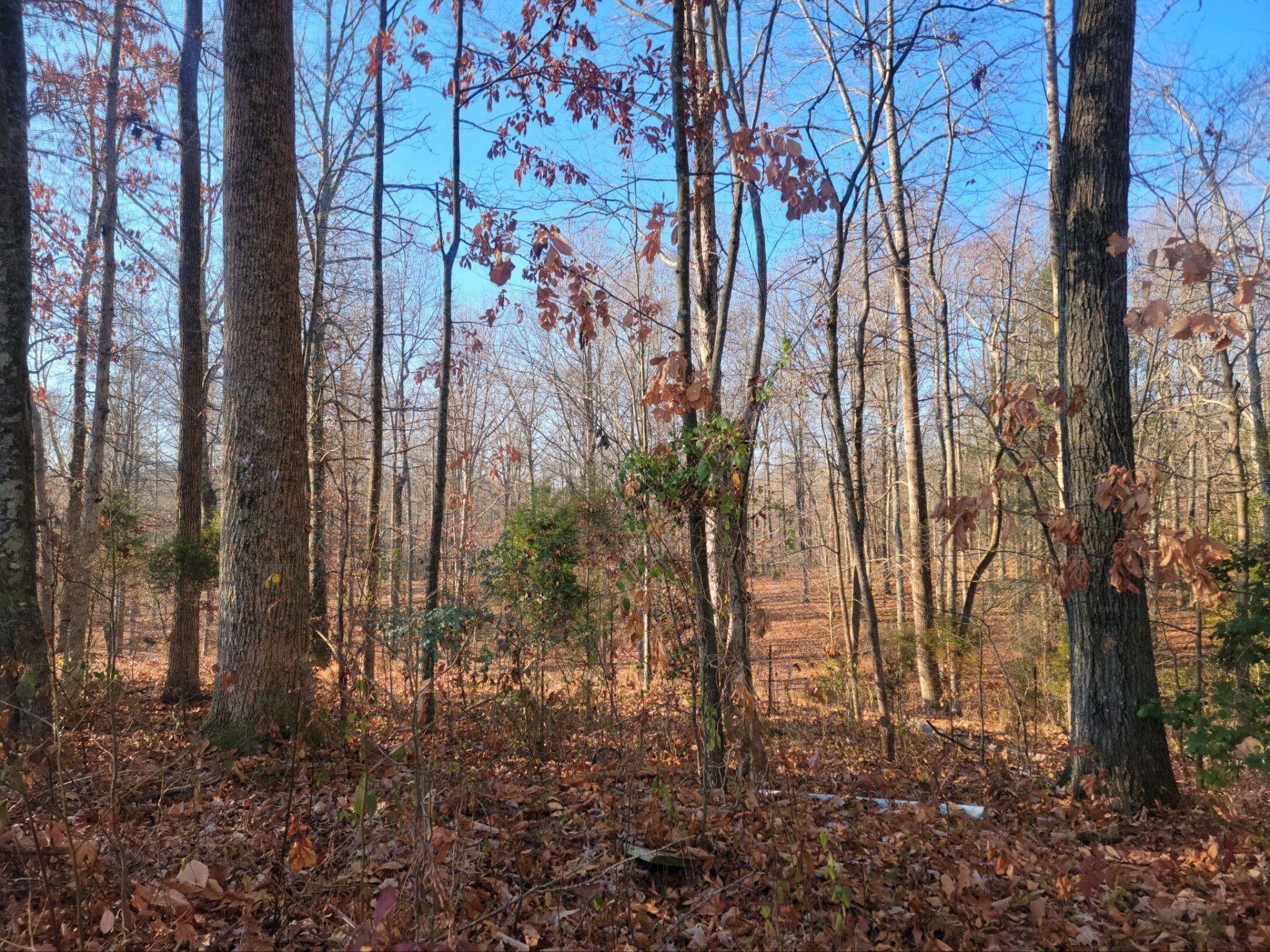 1573 Clifton Cemetery Road Spring City, TN 37381 - Photo 1 of 6 Gallery Image 1