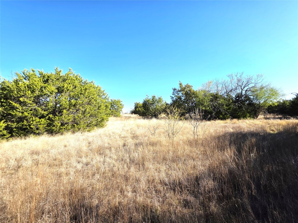 4218 Private Road 4218 Road Evant, TX 76525 - Photo 16 of 30 a view of a yard with trees
