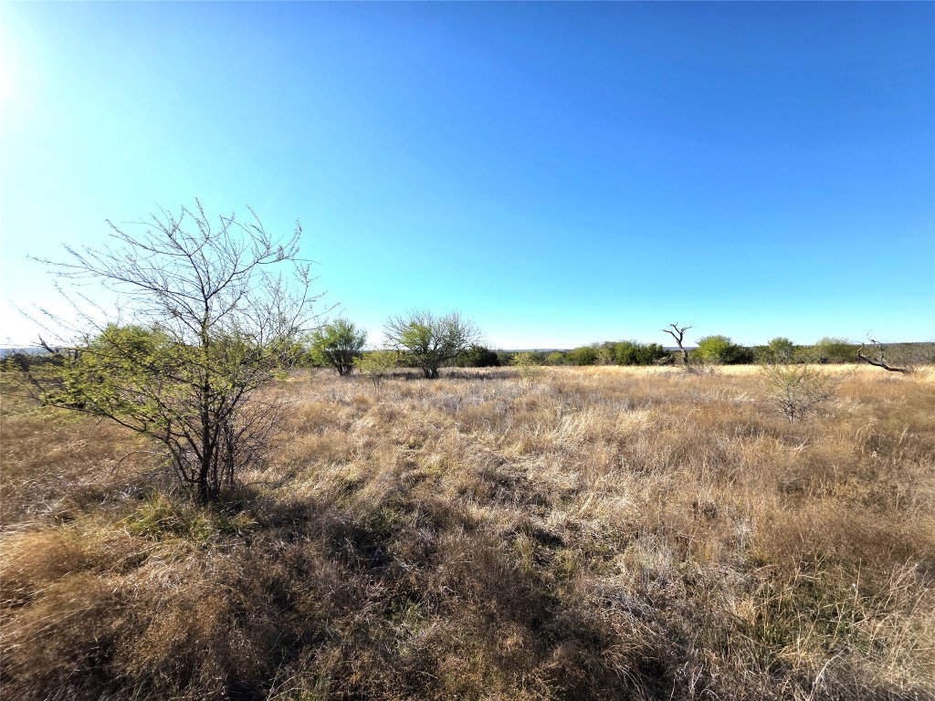 4218 Private Road 4218 Road Evant, TX 76525 - Photo 17 of 30 a view of dirt field with large trees